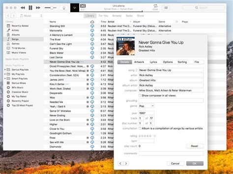 how to add songs to apple music from files and the importance of metadata in music libraries